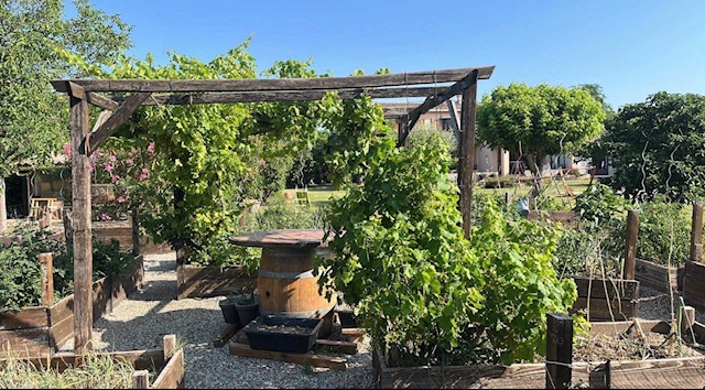 pergolas Range vinyles